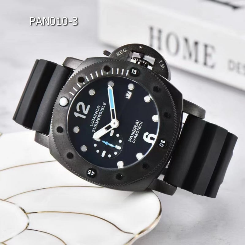 PAN010 3 1