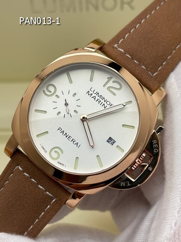 PAN013 1 1